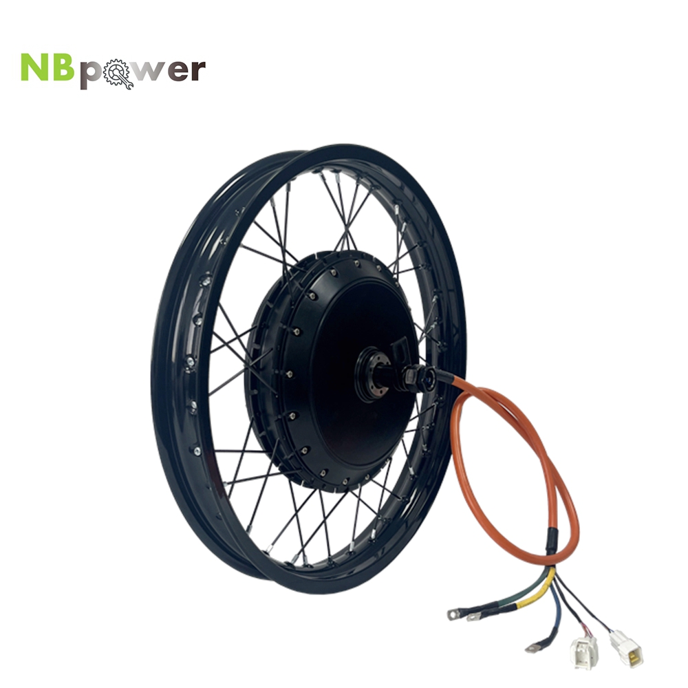 NBpower/170mmドロップアウトQS 273 40H - Qs Motor 273 8000W Hub Motor のレビューと価格